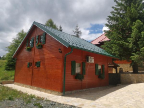 Mitrovacka Zora